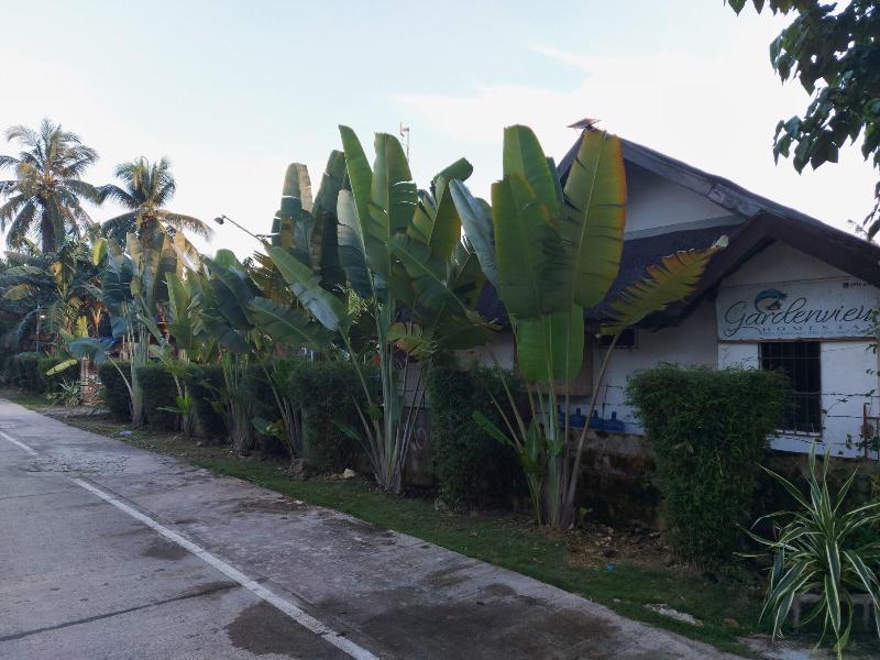Gardenview Homestay Siargao image