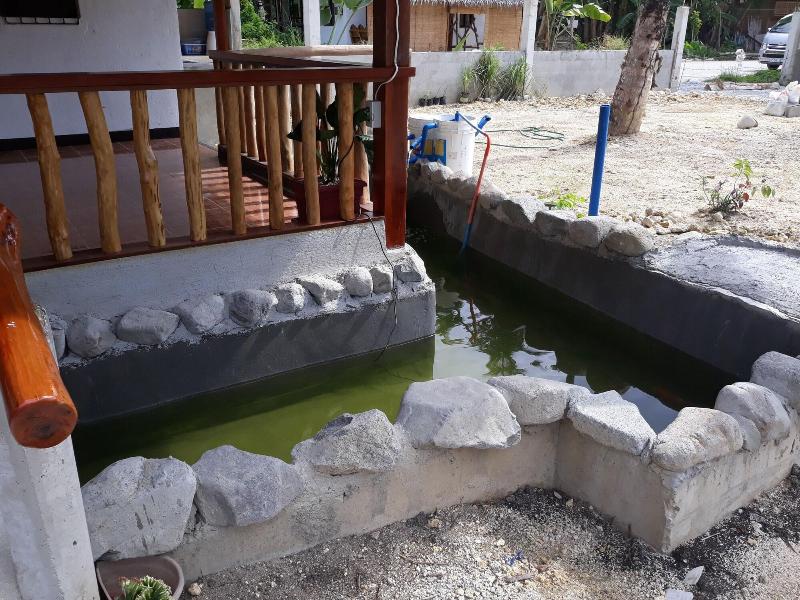 Gardenview Homestay Siargao image