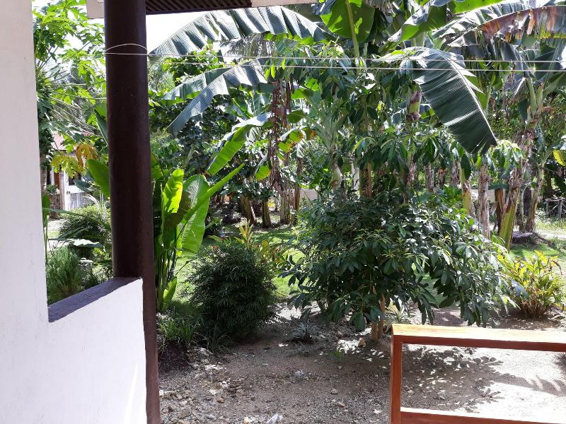 Gardenview Homestay Siargao image