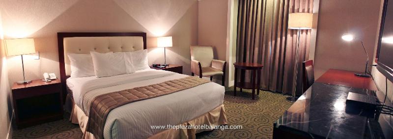 The Plaza Hotel Balanga City image