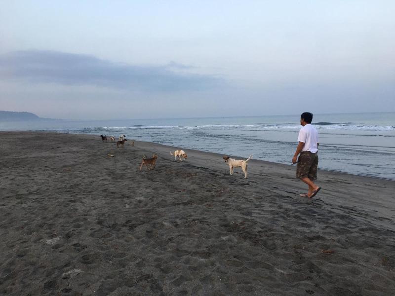 EM Royalle Hotel & Beach Resort image