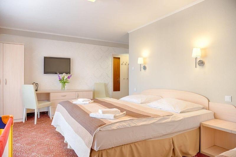 Dom Kuracyjny Hotel Messa image
