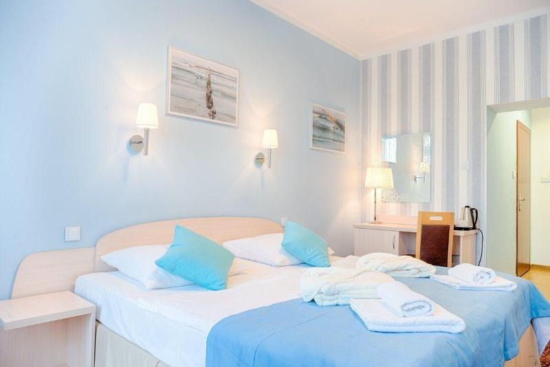 Dom Kuracyjny Hotel Messa image
