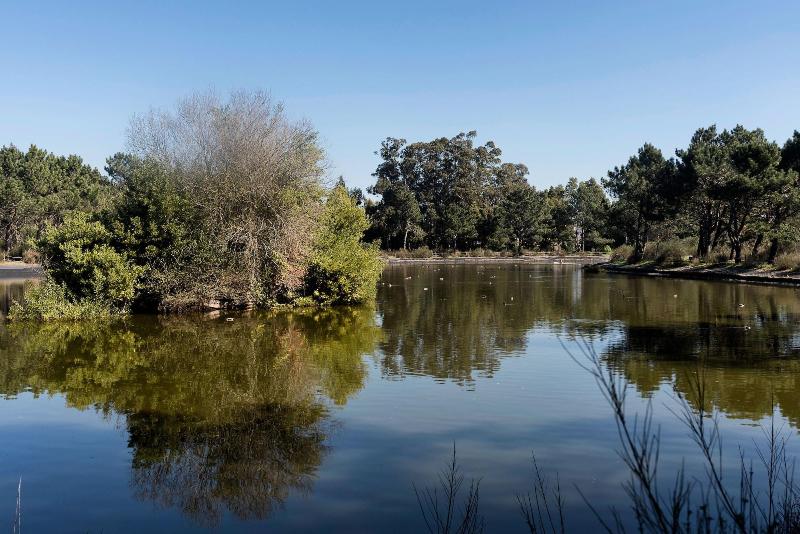 The Sea Beach House image
