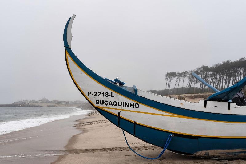 The Sea Beach House image
