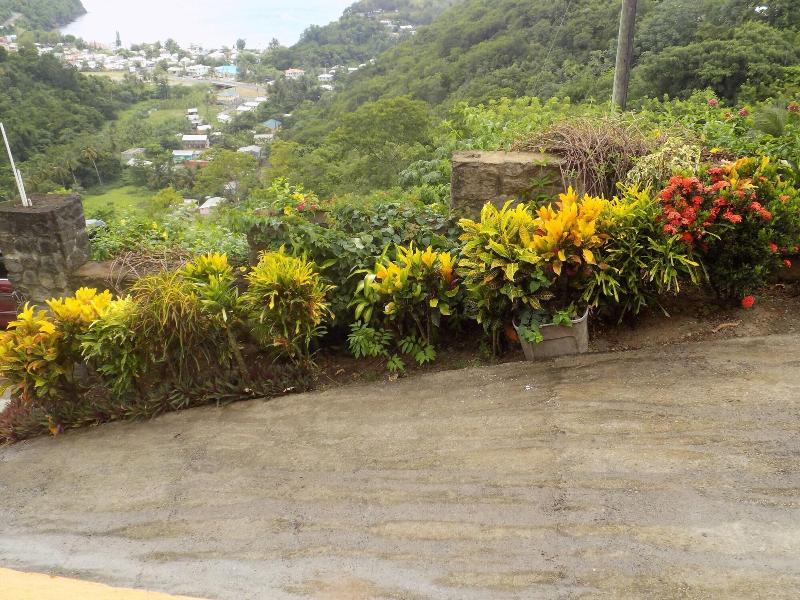 Tropical Paradise View image