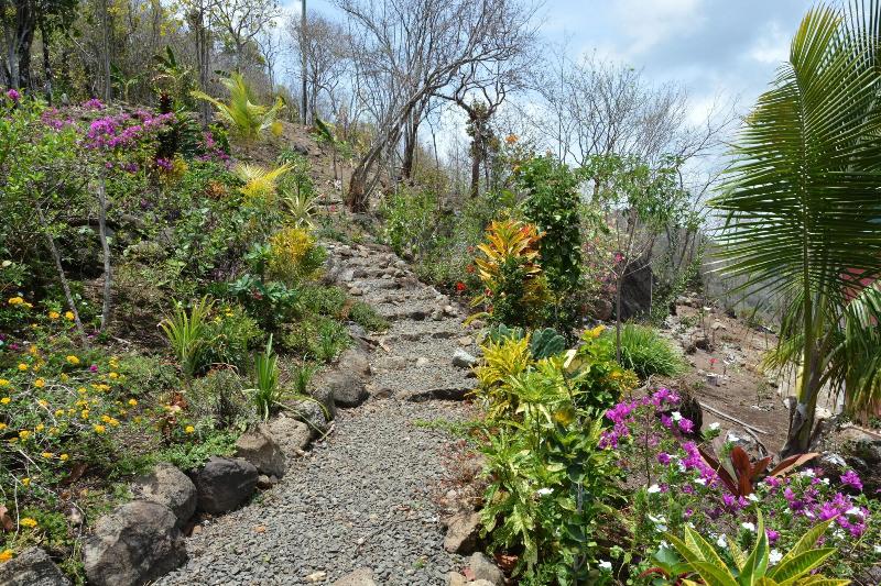 Tropical Paradise View image