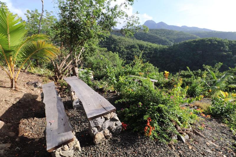 Tropical Paradise View — general view