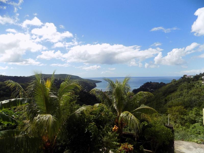 Tropical Paradise View image