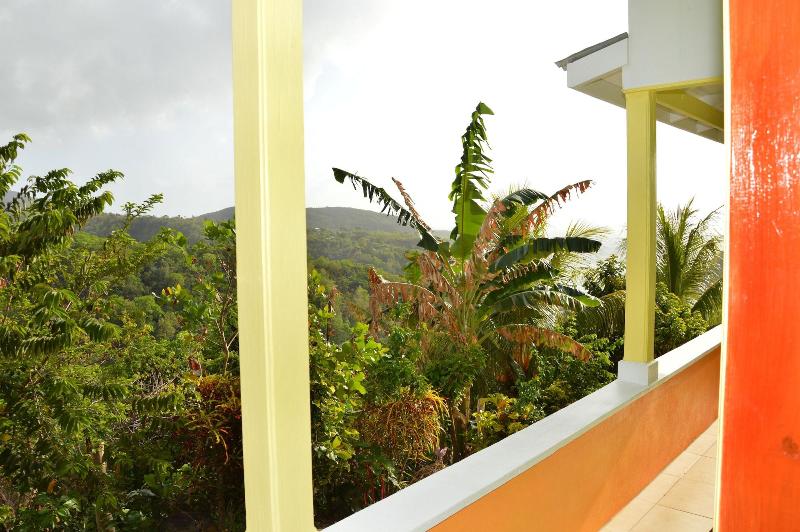 Tropical Paradise View image