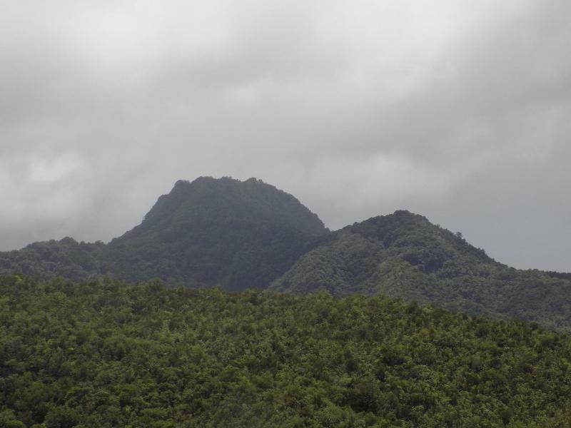 Tropical Paradise View image