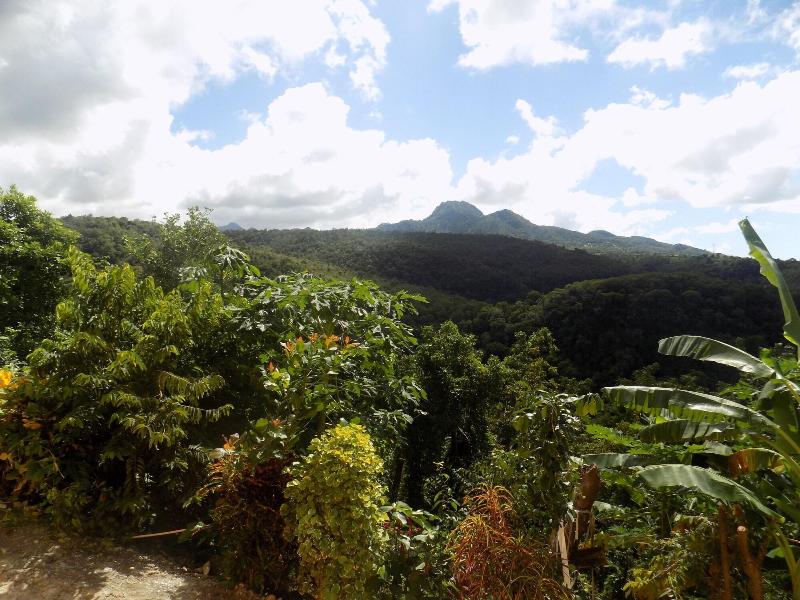 Tropical Paradise View image