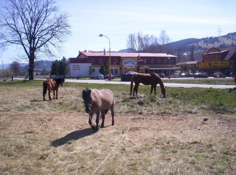 Motel Ranč image
