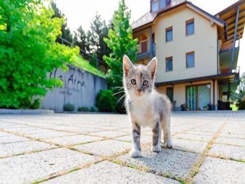 Villa Aina Boutique Hotel image
