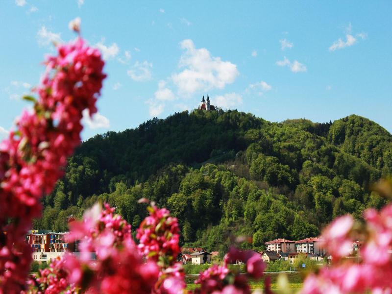 Villa Aina Boutique Hotel image