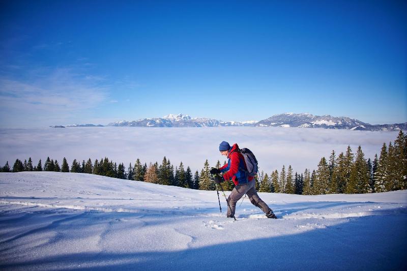 Hotel Planinka image