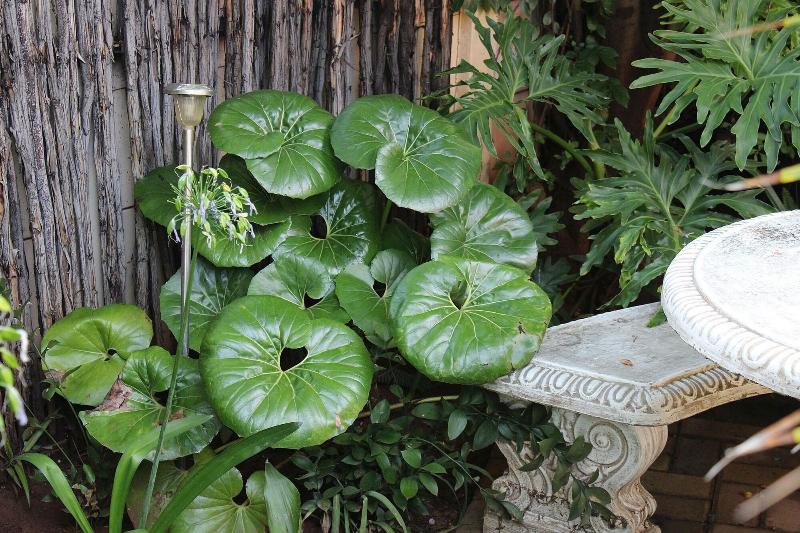 Ukarimu Guest House image