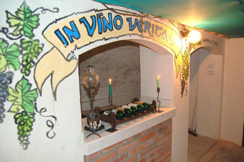 Hotel Morava image