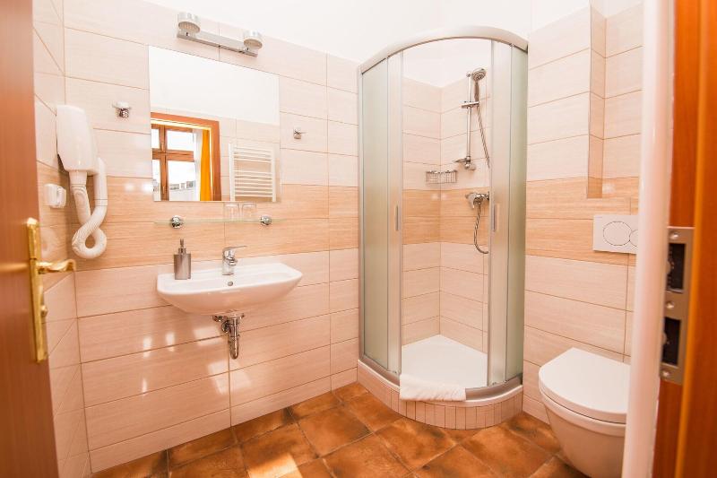 Hotel Morava image