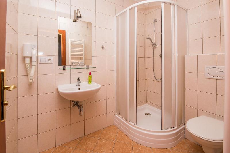Hotel Morava image