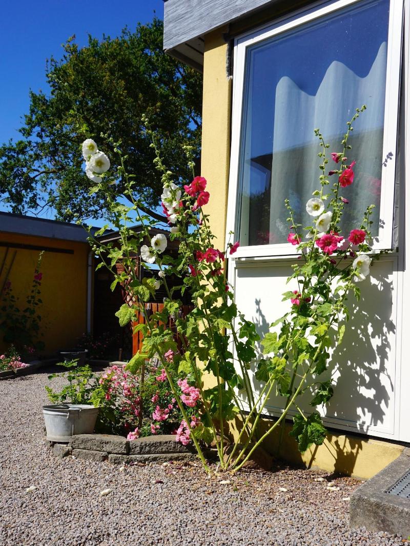 Nordly Vandrerhjem