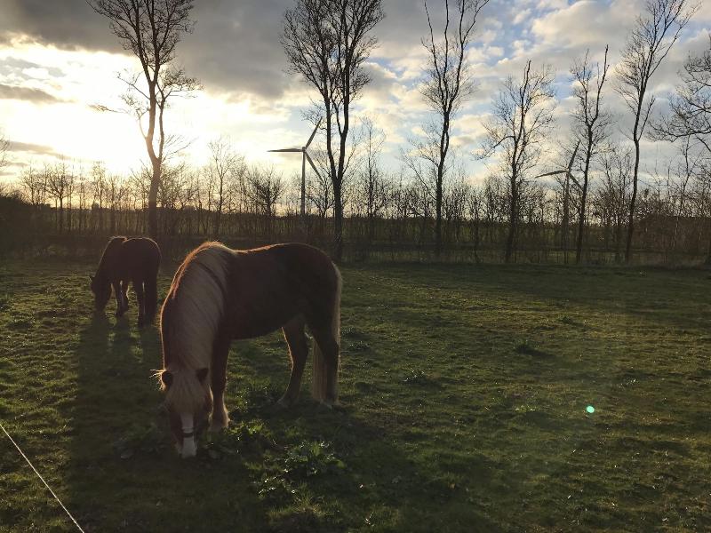 Bremsmaj Farm Holiday image