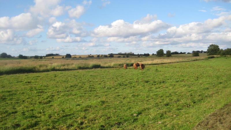 Bremsmaj Farm Holiday image