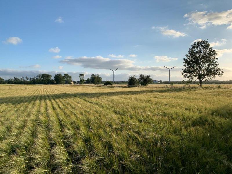 Bremsmaj Farm Holiday image