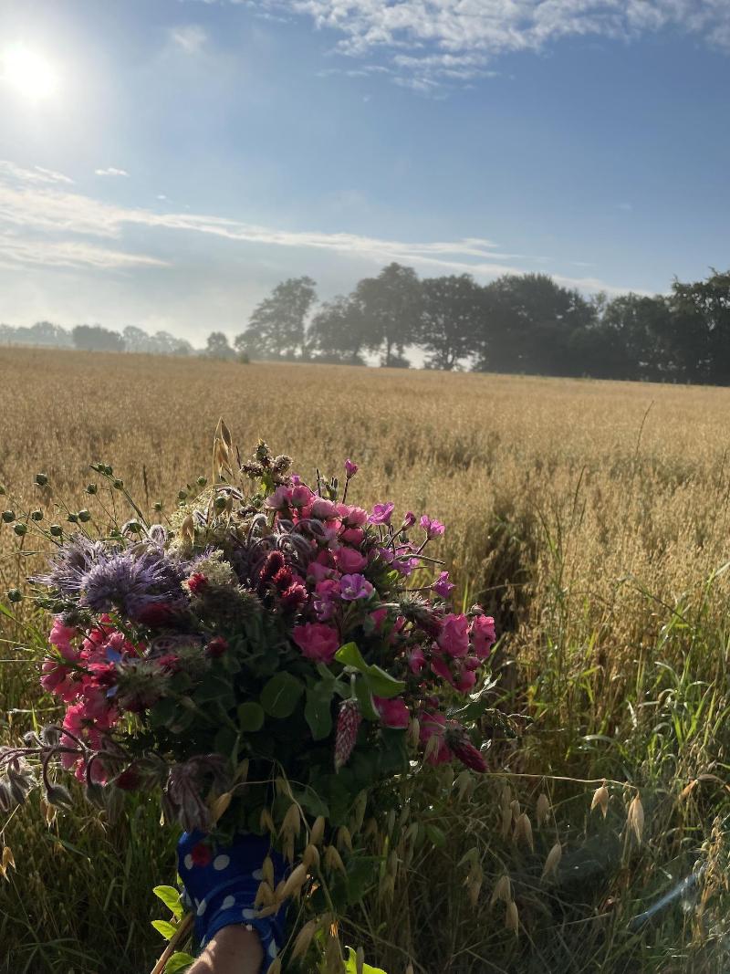 Bremsmaj Farm Holiday image