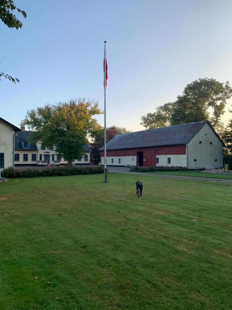 Bremsmaj Farm Holiday image