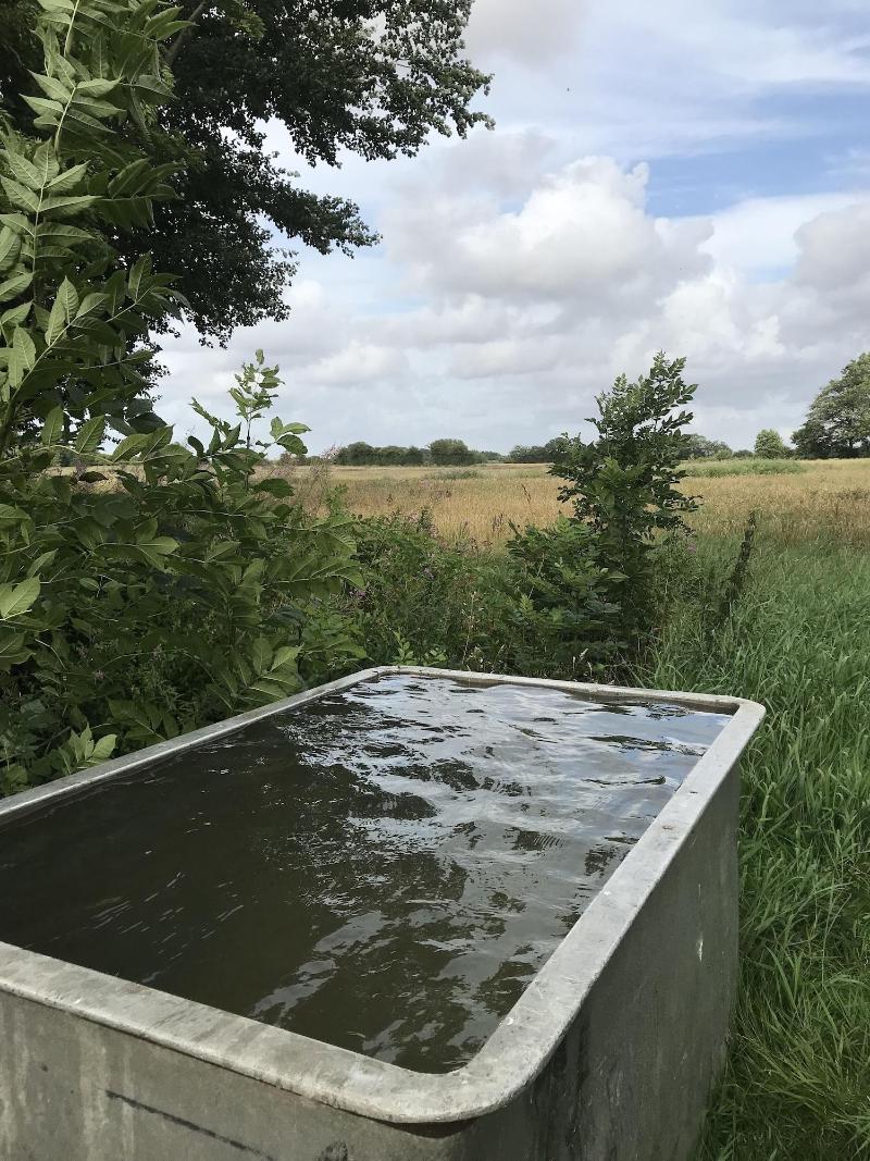 Bremsmaj Farm Holiday image
