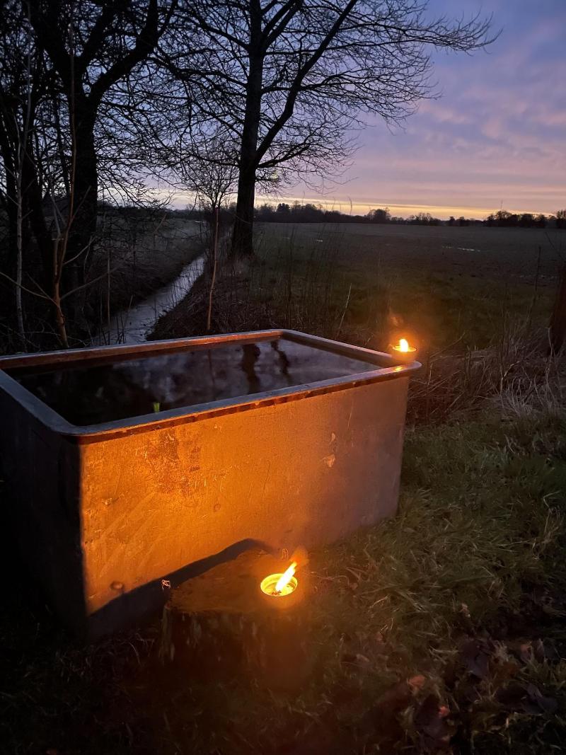 Bremsmaj Farm Holiday image