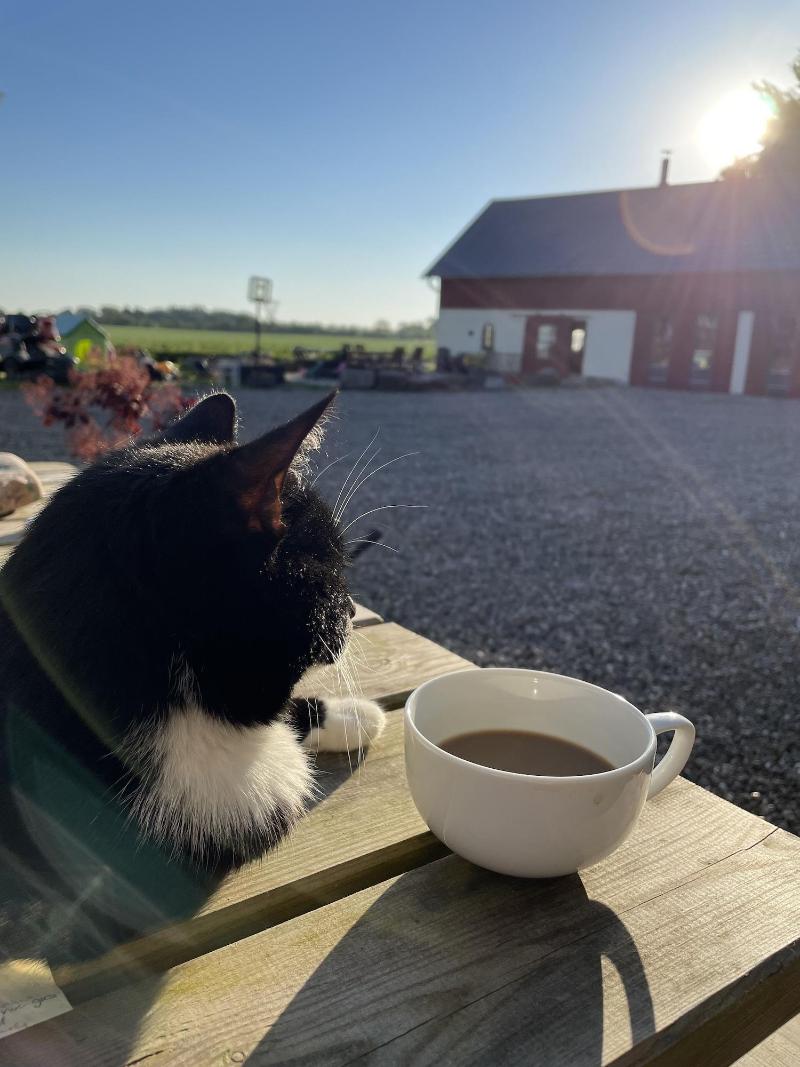 Bremsmaj Farm Holiday image