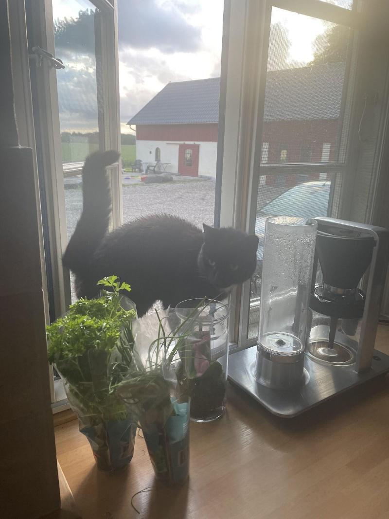 Bremsmaj Farm Holiday image