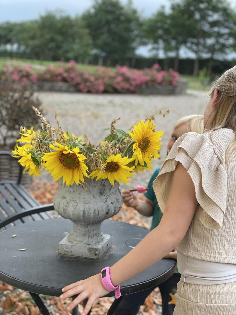 Bremsmaj Farm Holiday image