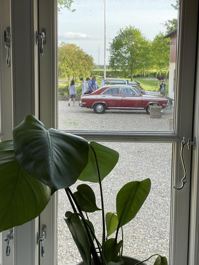 Bremsmaj Farm Holiday image