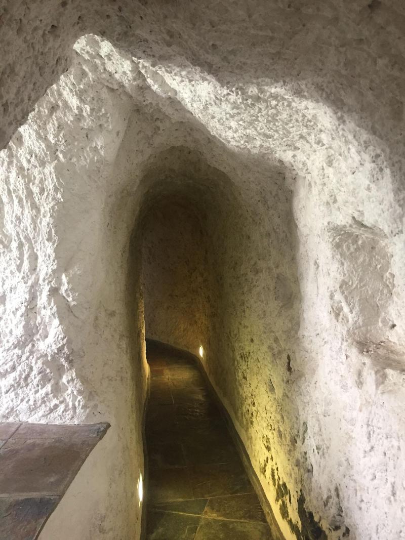 Hacienda Las Cuevas Terra Lodge image