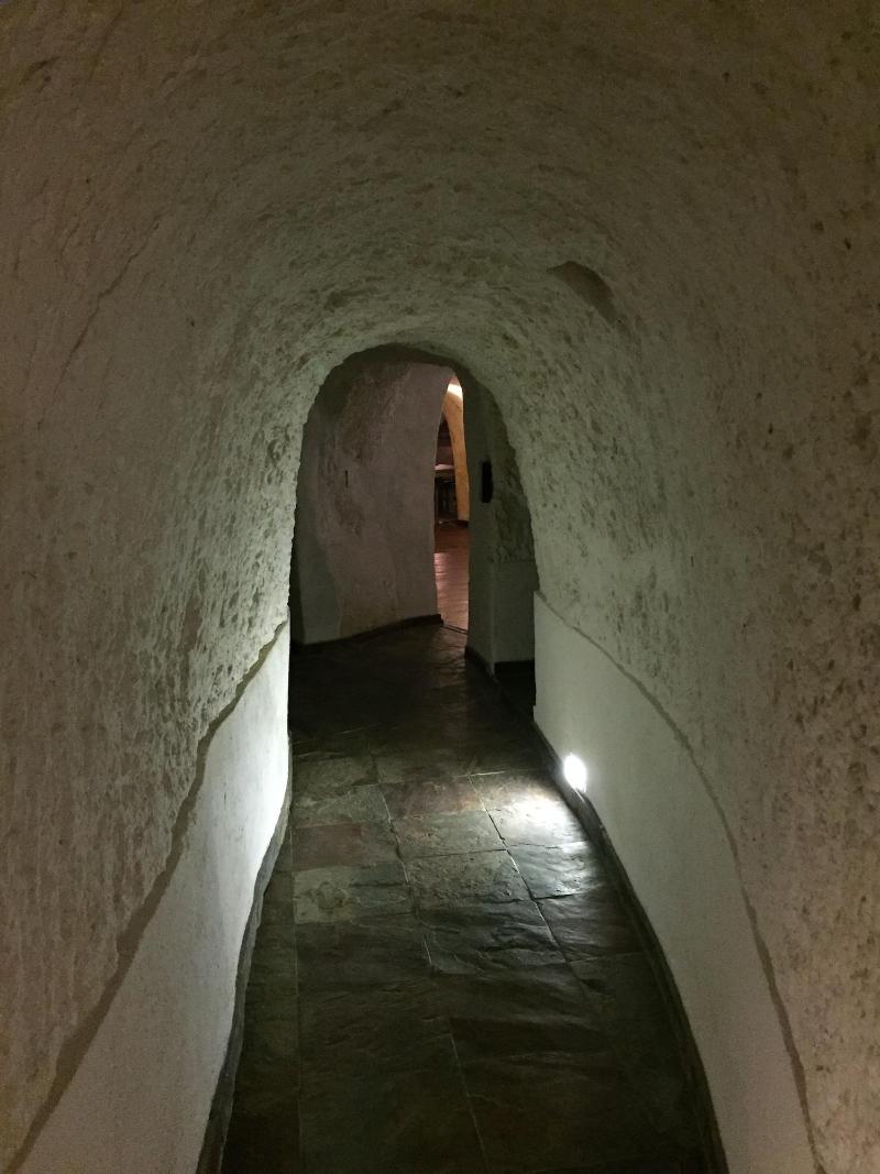 Hacienda Las Cuevas Terra Lodge image