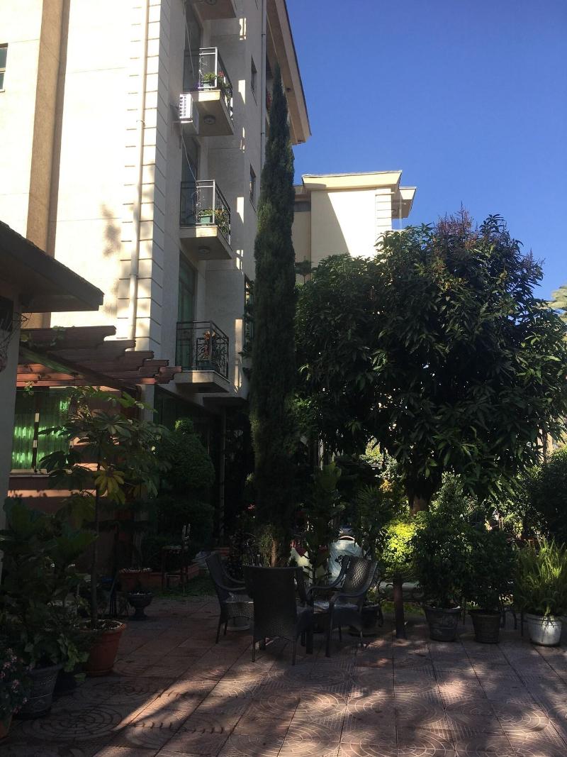 Jacaranda Hotel image