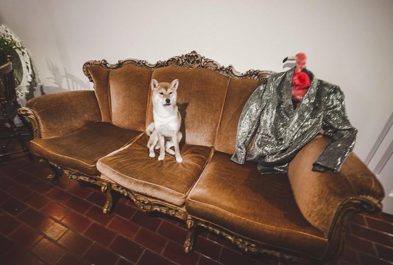 Wherever Boutique Hostel image