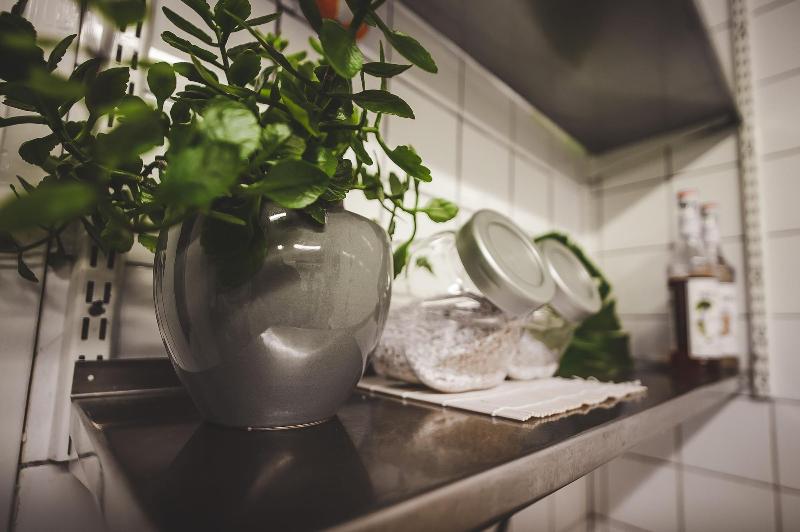 Wherever Boutique Hostel image