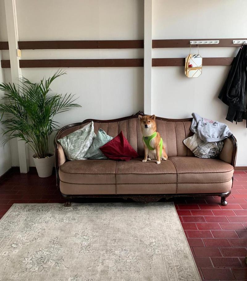 Wherever Boutique Hostel image
