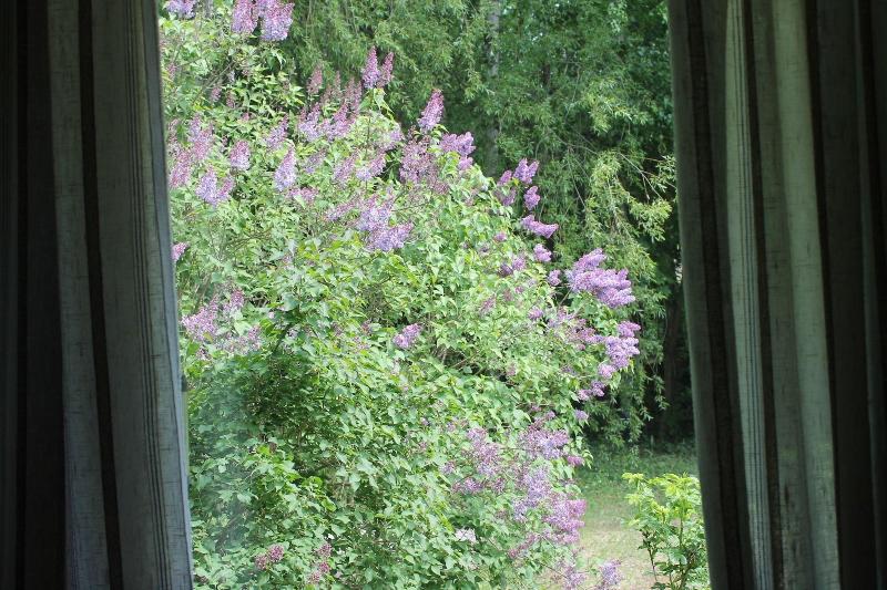 Guesthouse Kuin Kotonaan image