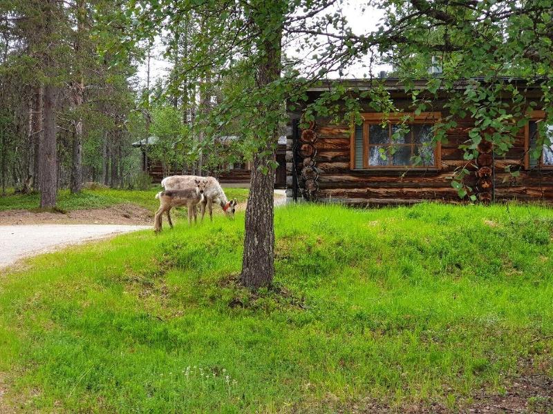 Aparthotel Kuukkeli Aurora