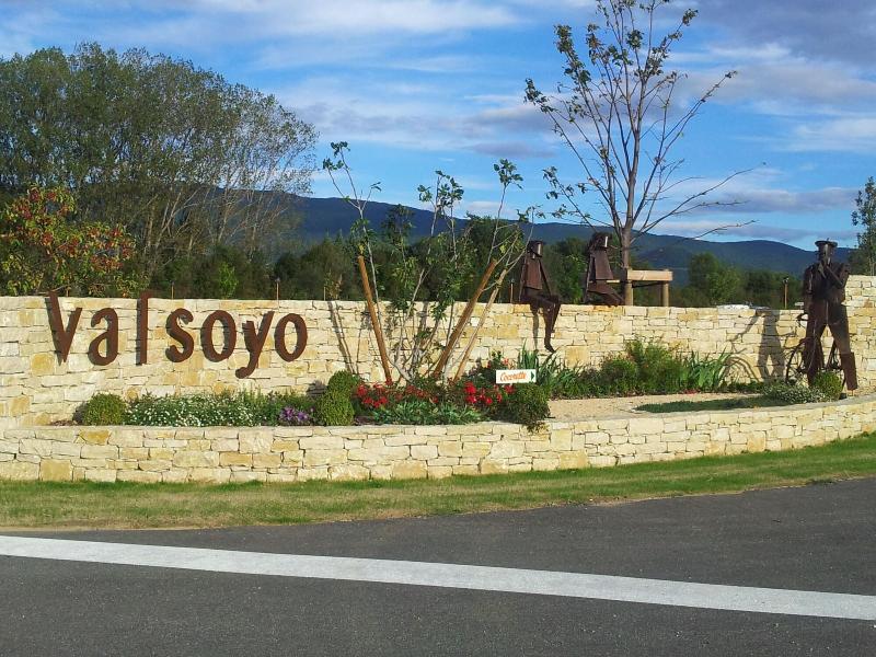 Valsoyo image