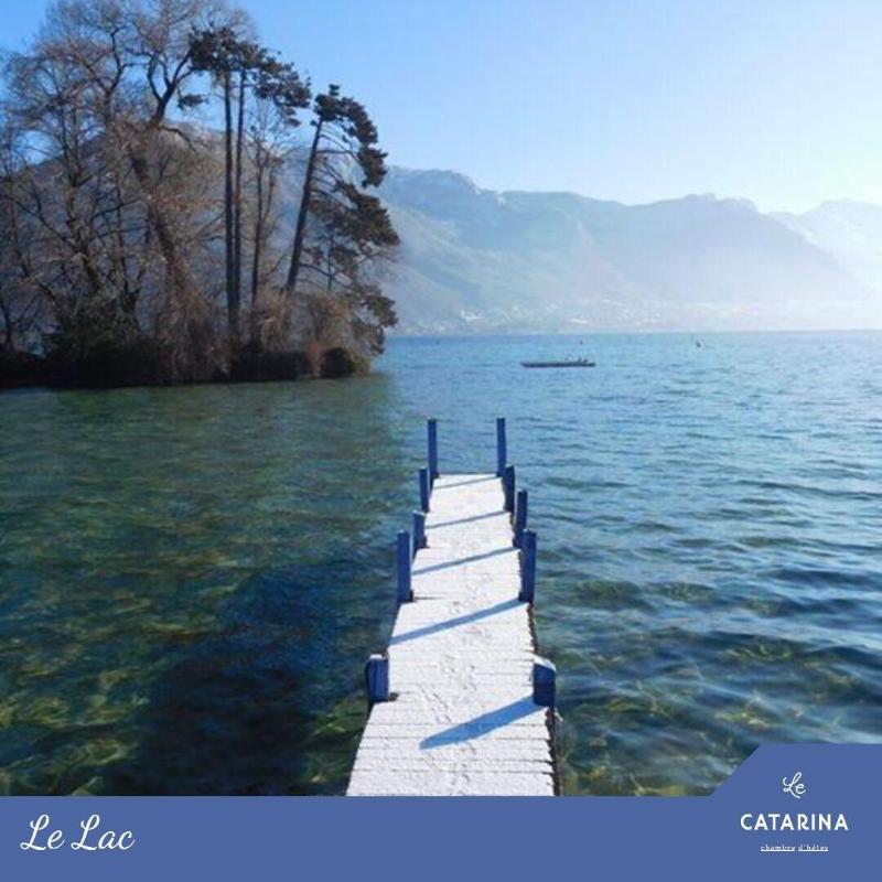 Le Catarina image