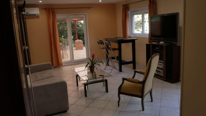 Villa Seignemartin image