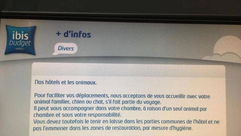 ibis budget Fécamp image