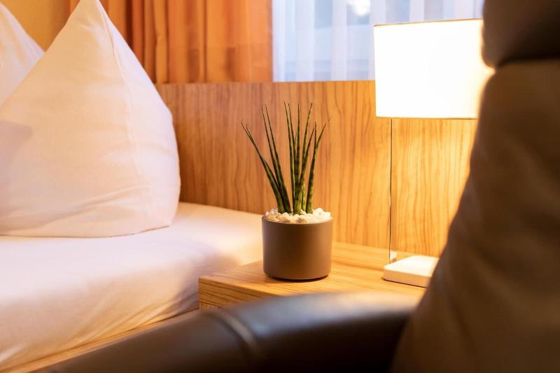 Hotel Zum Steinhof image