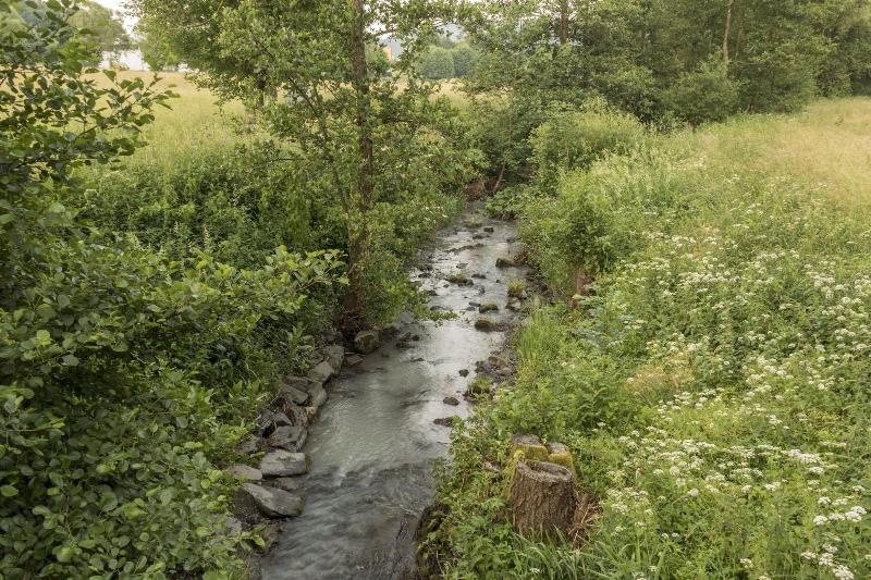 Naturmed Bad Endbach — photo 3